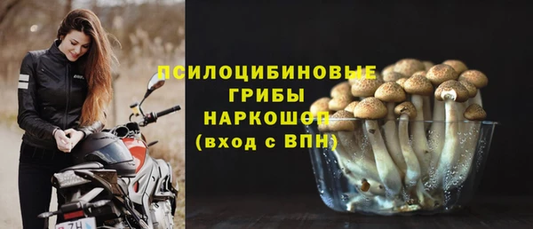 кокс Дмитриев