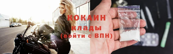 кокс Дмитриев