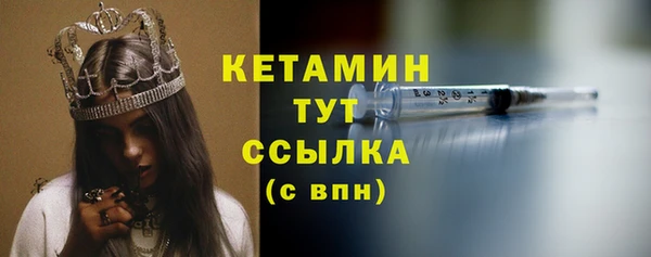 кокс Дмитриев