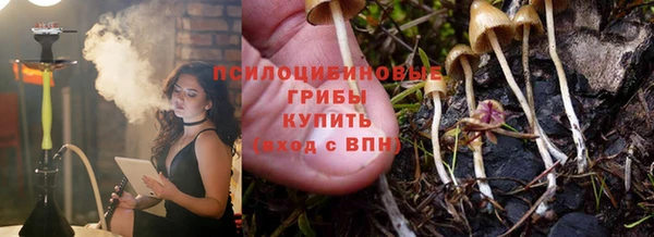 кокс Дмитриев