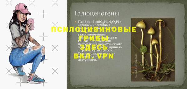 меф Дмитров