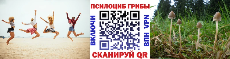 Галлюциногенные грибы мухоморы  купить  цена  Карабаново 